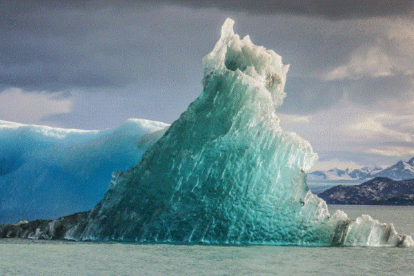 dhamaka zone celebrity gossip