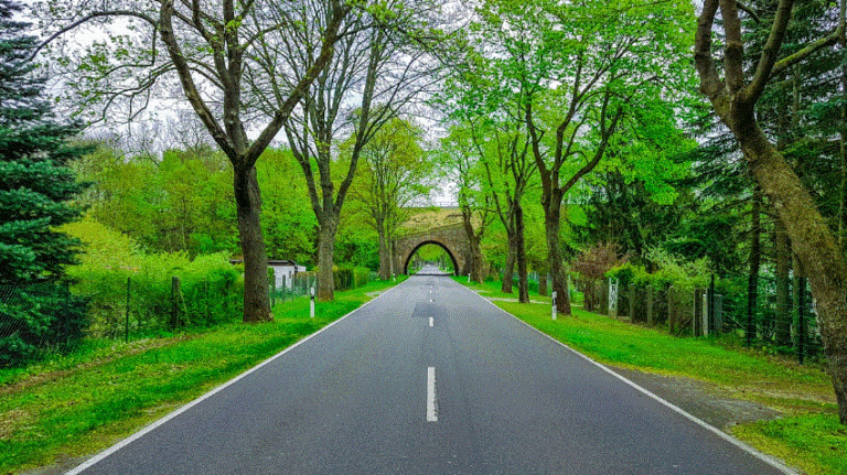 Dhamaka zone celebrity gossip – The Complete Guide