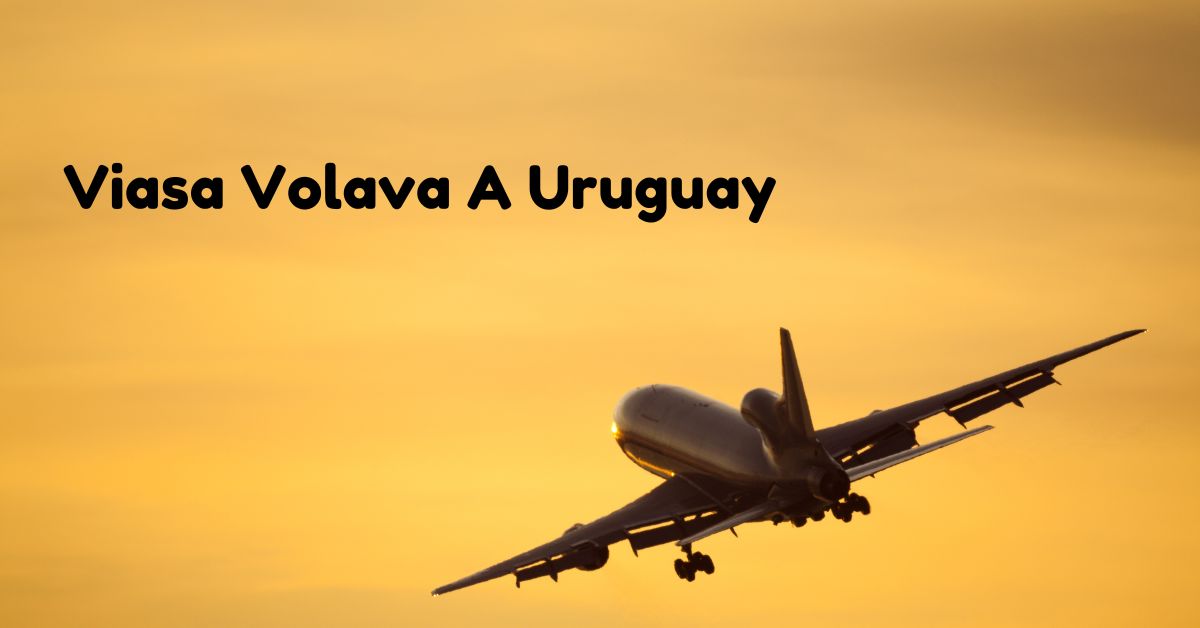 Viasa Volava A Uruguay